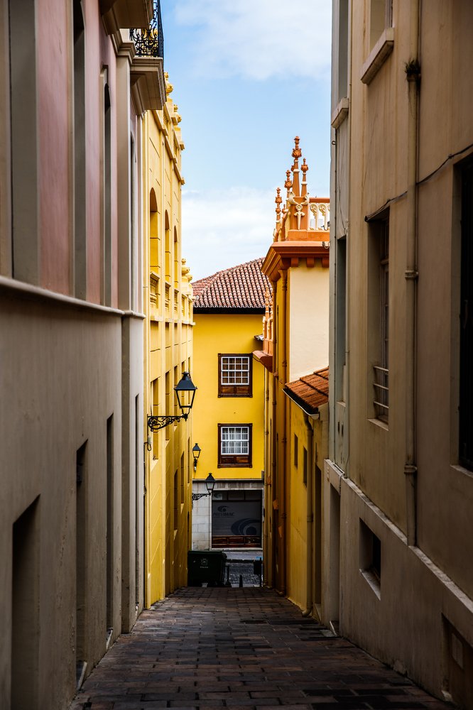 Фотография автора Гудкова Светлана