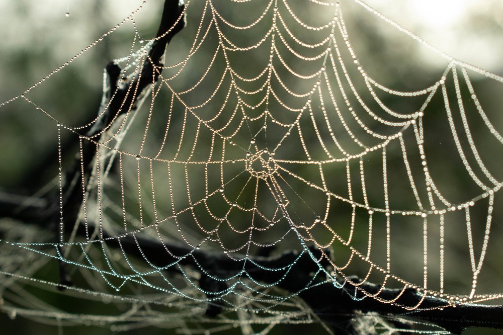 Photograph by Camelia Dogaru