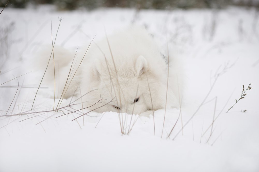 Photograph by Tet. Filippova