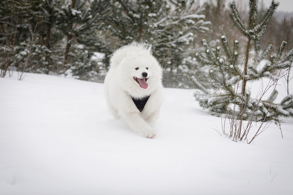 Photograph by Tet. Filippova