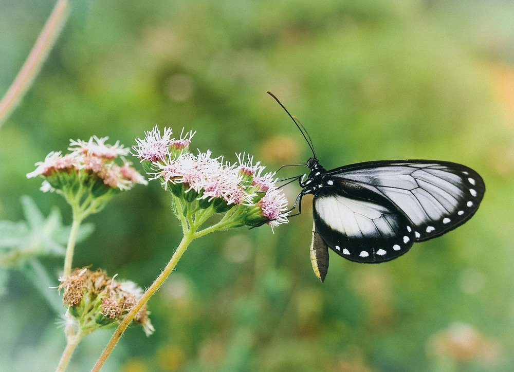 Photograph by Jonathan Davila