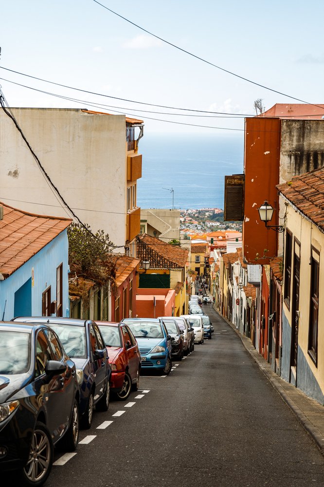 Фотография автора Гудкова Светлана