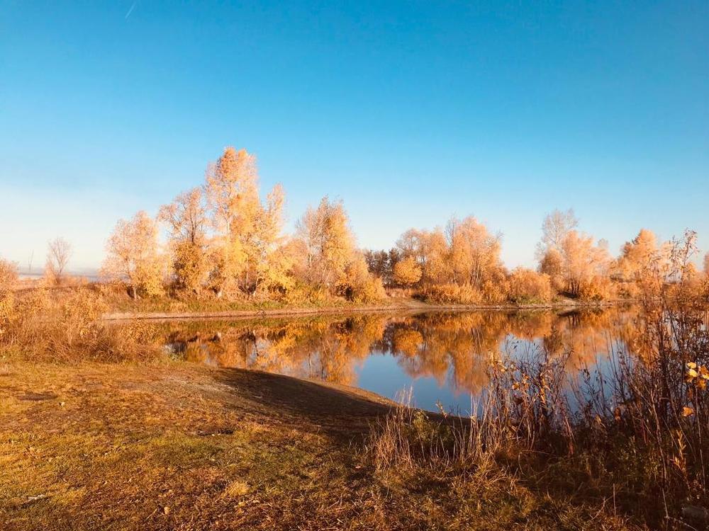 Photograph by Надежда Чебакова