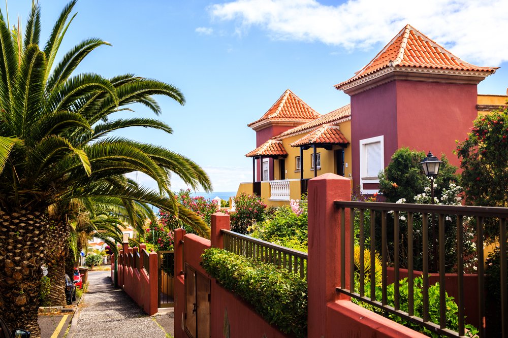 Фотография автора Гудкова Светлана