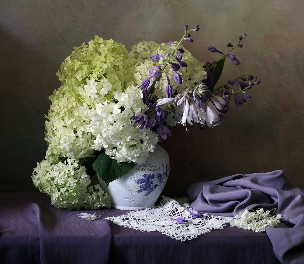 Гортензия и хоста.