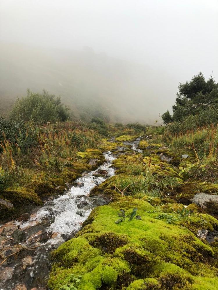 Photograph by Надежда Чебакова