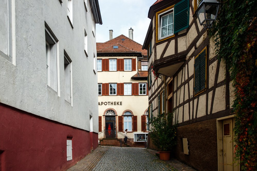 Фотография автора Гудкова Светлана