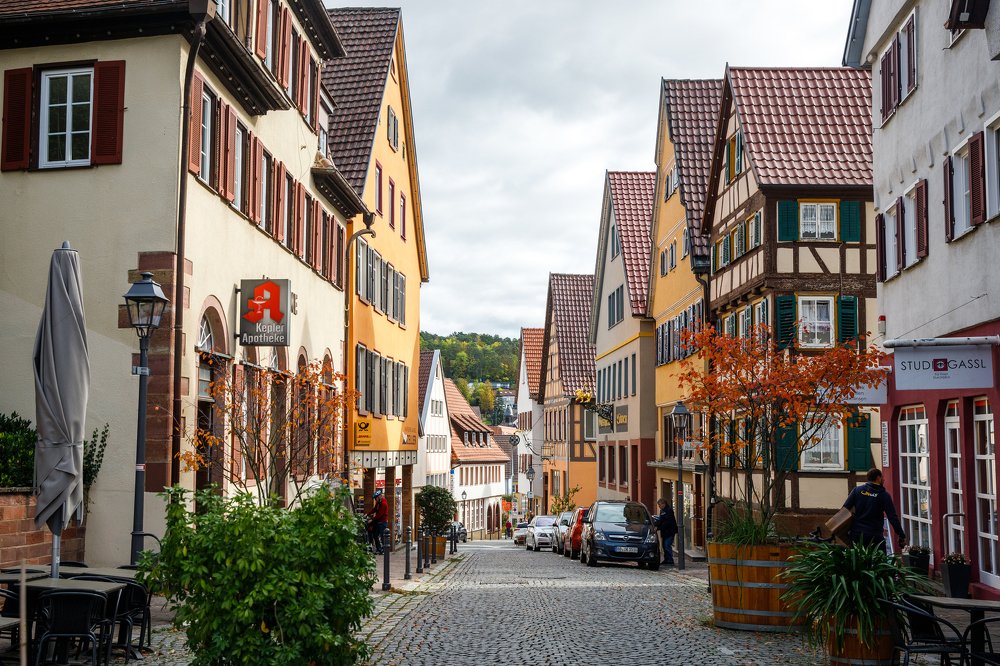 Фотография автора Гудкова Светлана