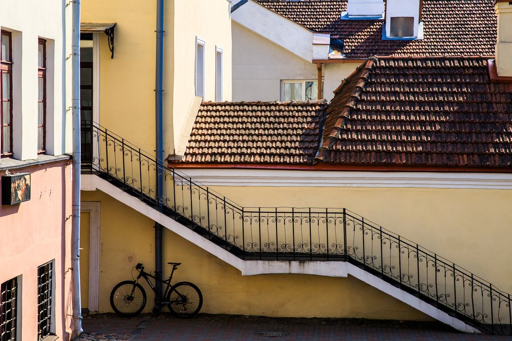Фотография автора Гудкова Светлана