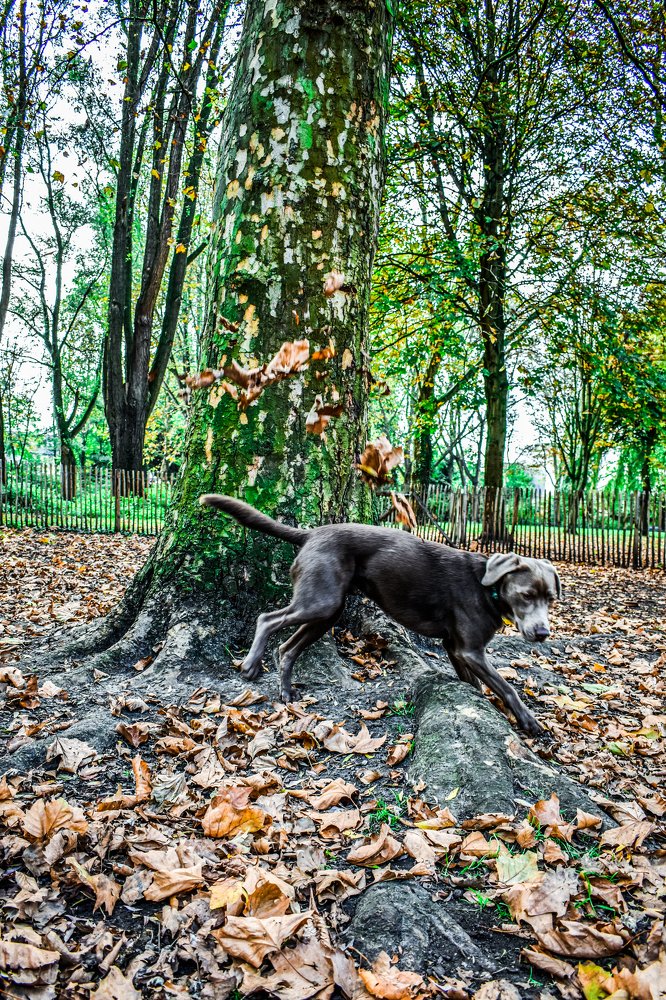 Фотография автора Livija Gotz