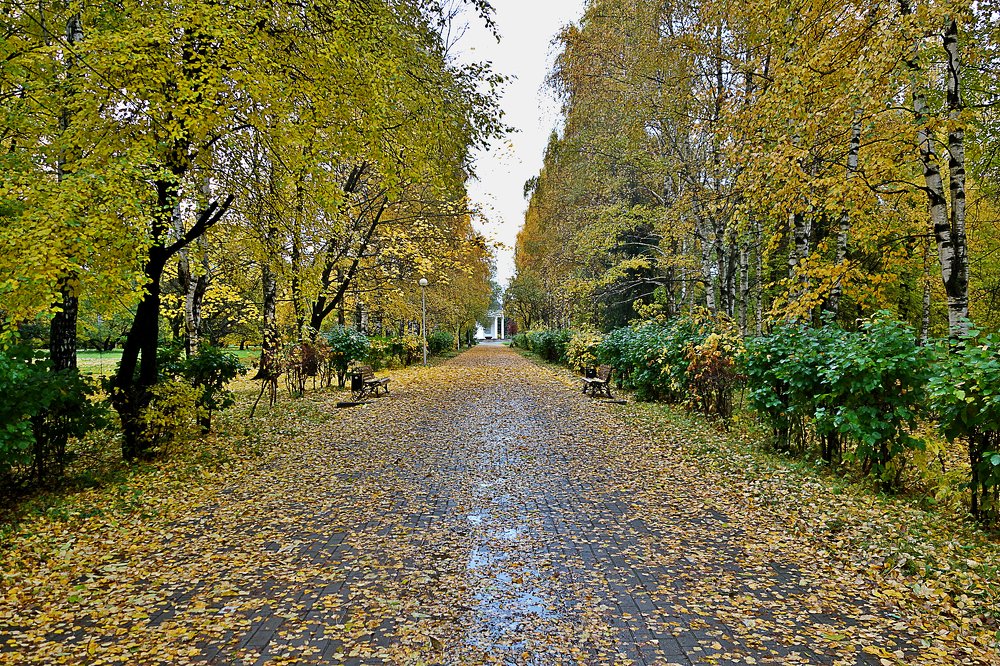 Photograph by IRINA KORNEVA