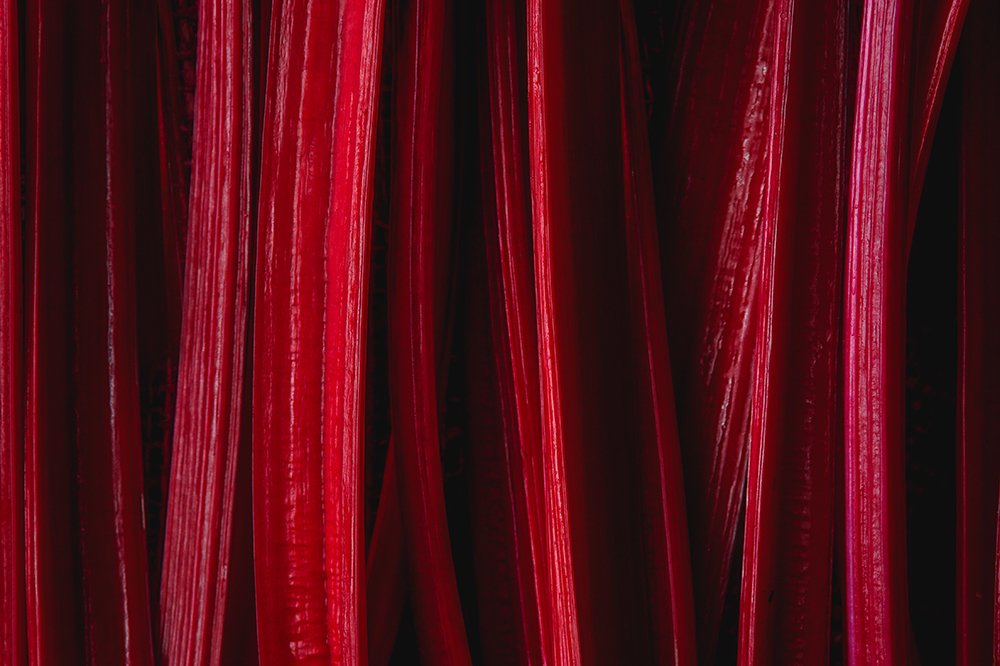 Photograph by Yuliia Pashentseva