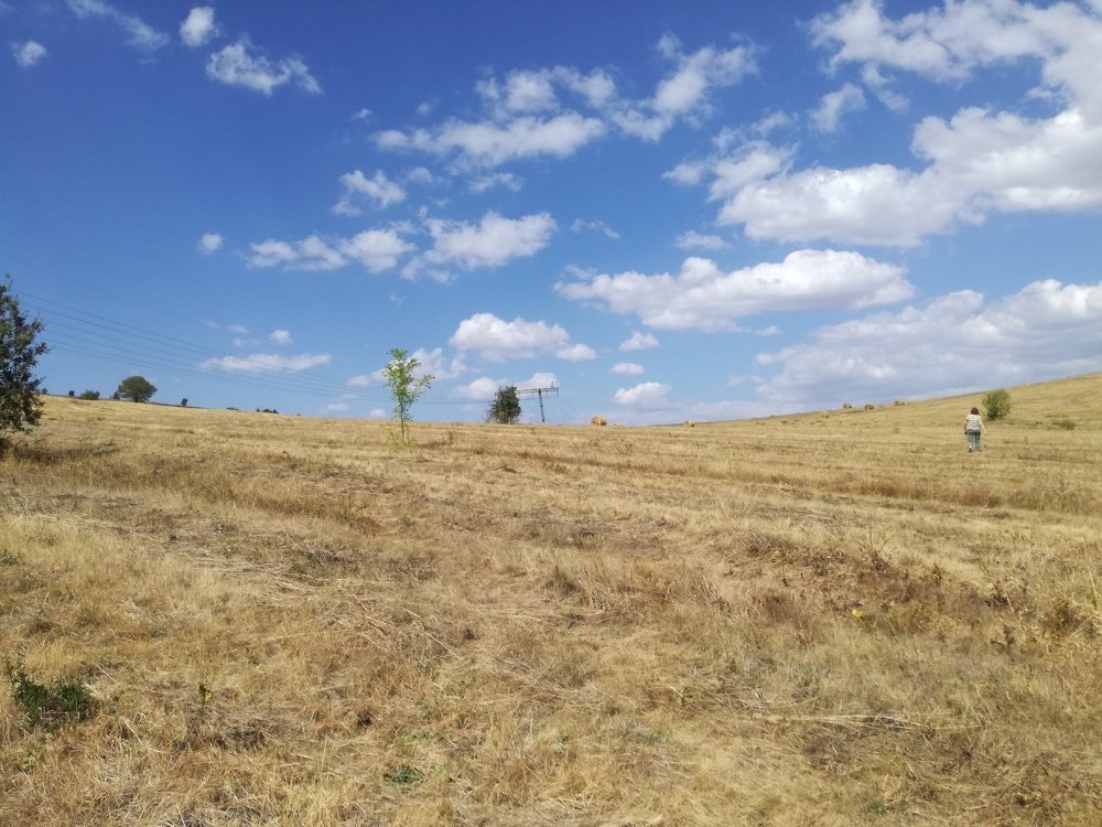 Photograph by Plamen