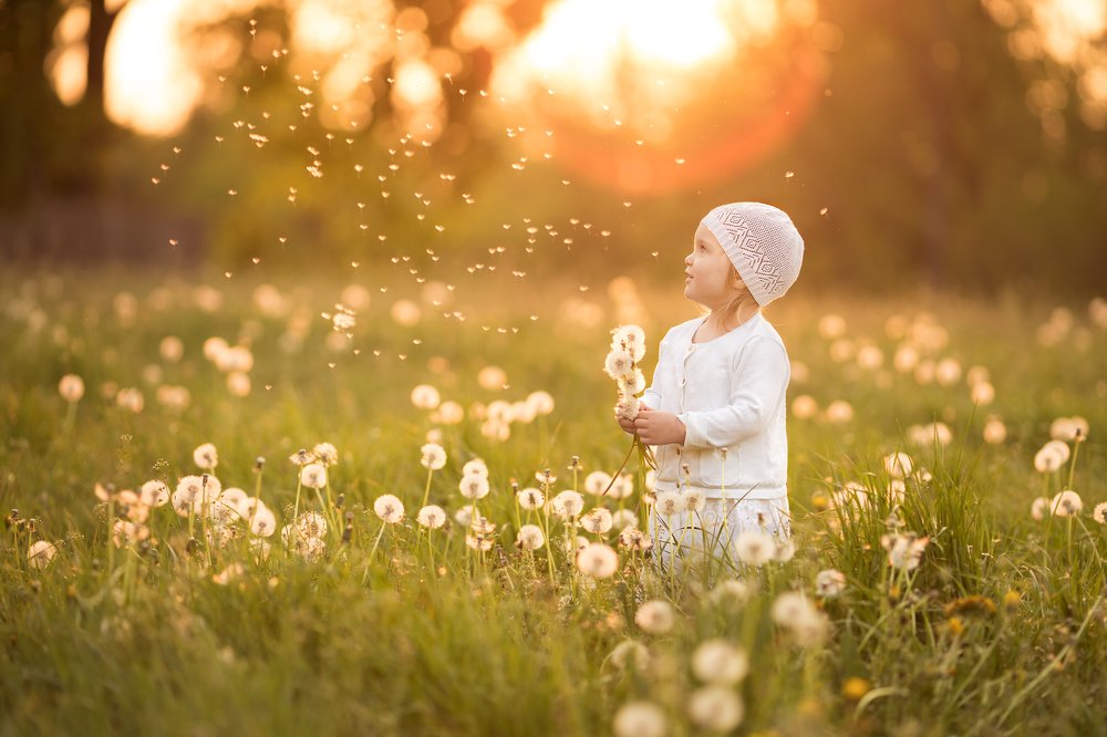 Photograph by Любовь Силантева