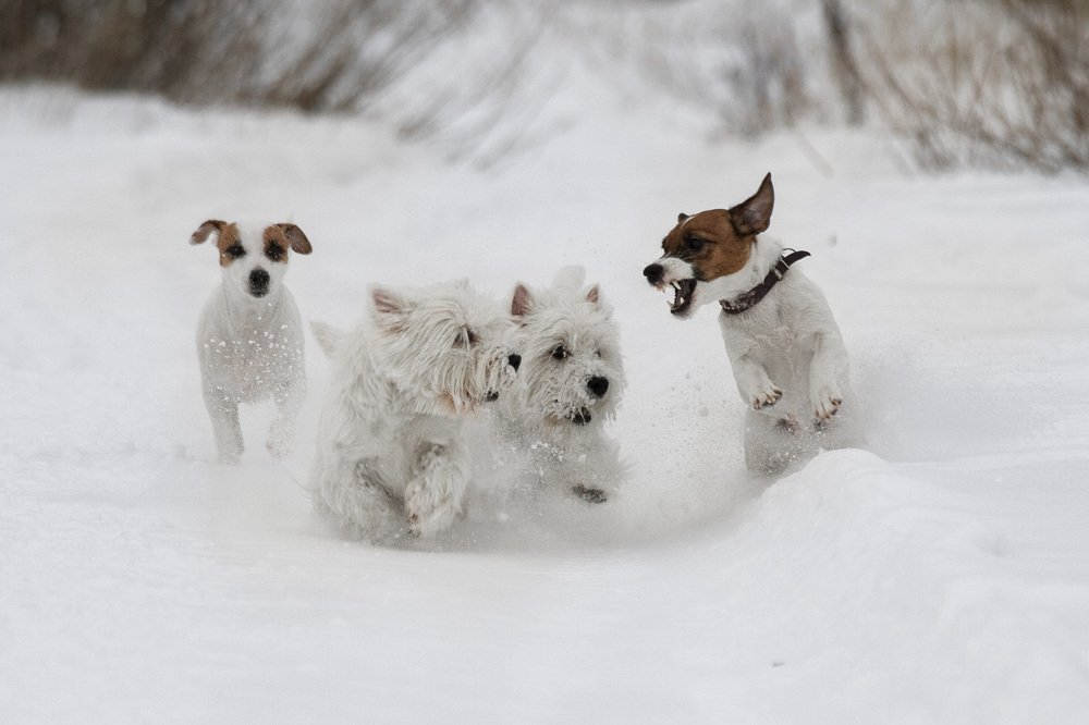 Photograph by Анастасия Цветкова
