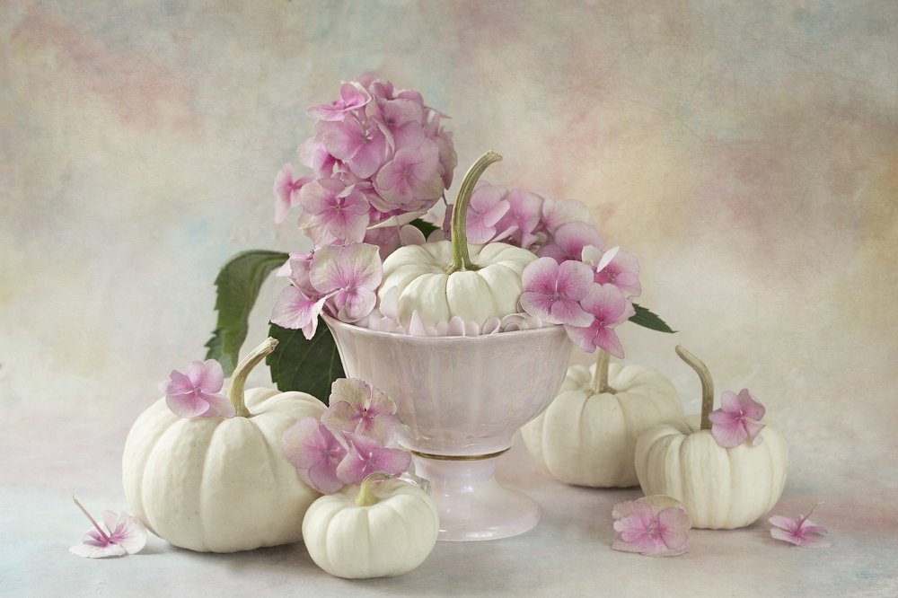 Autumn in white and pink