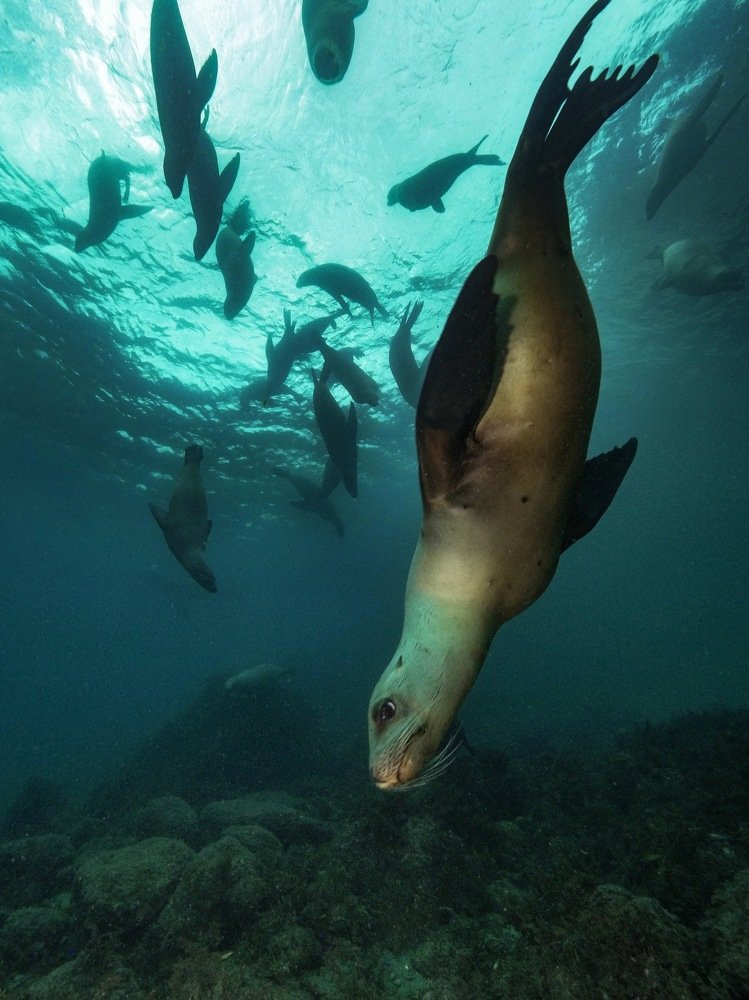 Photograph by Serge Melesan