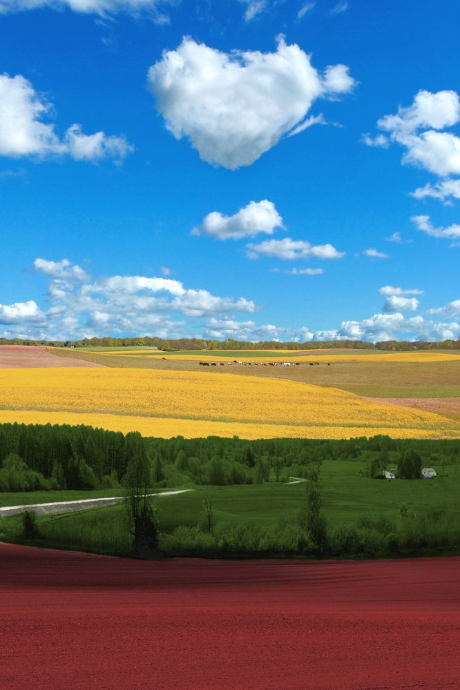 Photograph by Henrikas Mackevicius