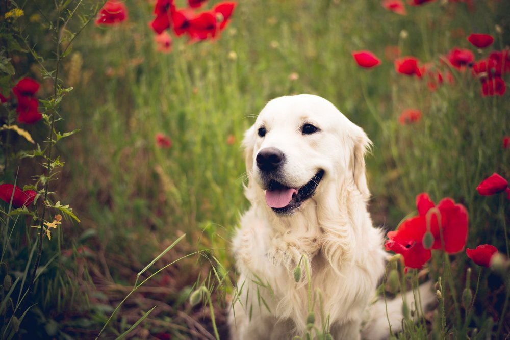 Photograph by Анастасия Мельник