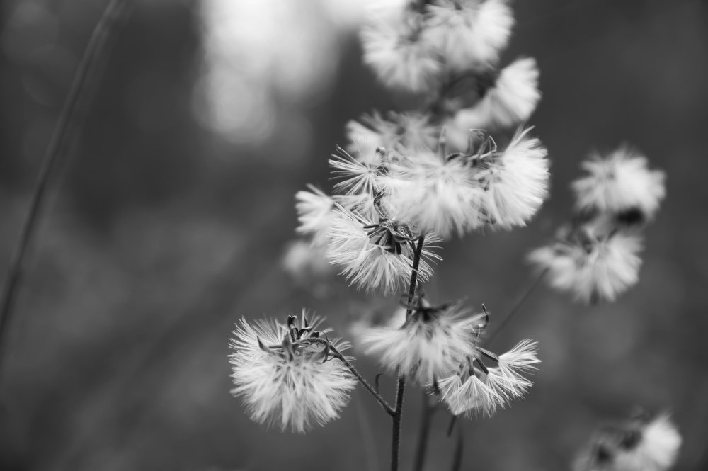 Photograph by Евгений Покрасен