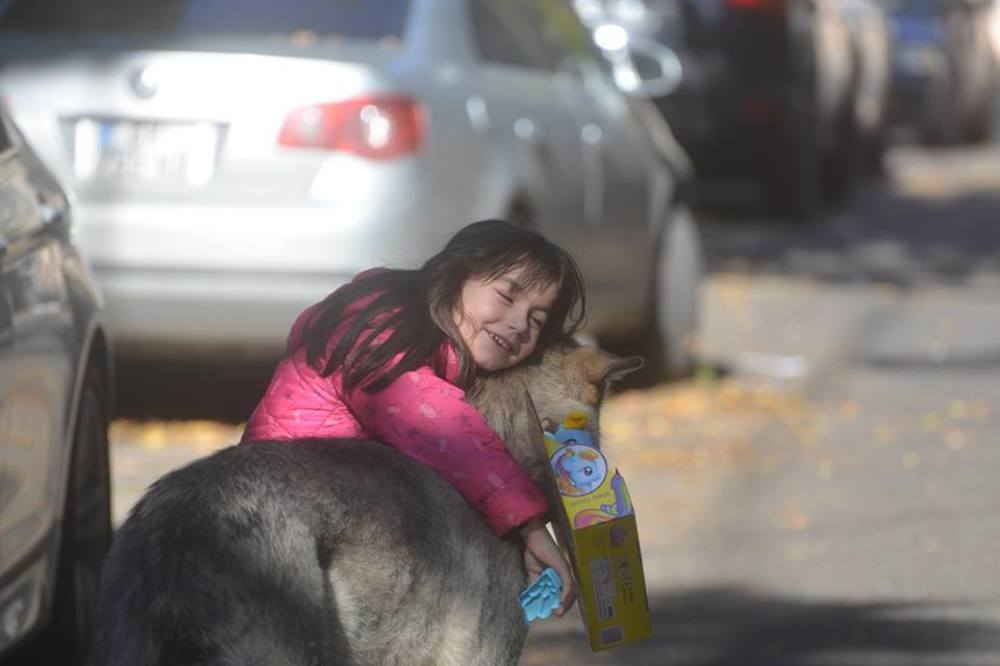 Photograph by Davit Medzmariashvili