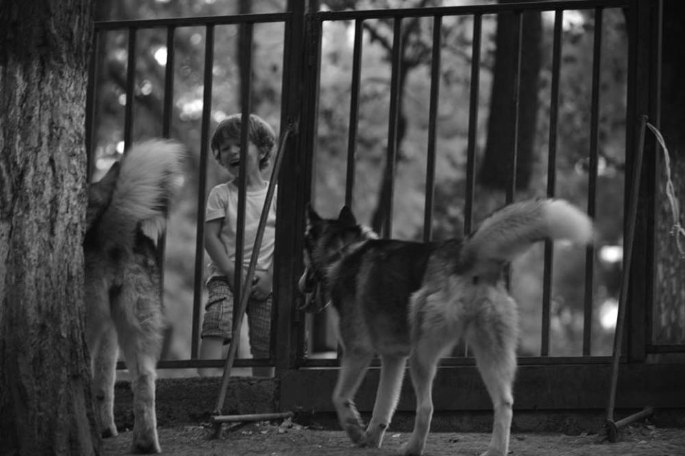 Photograph by Davit Medzmariashvili