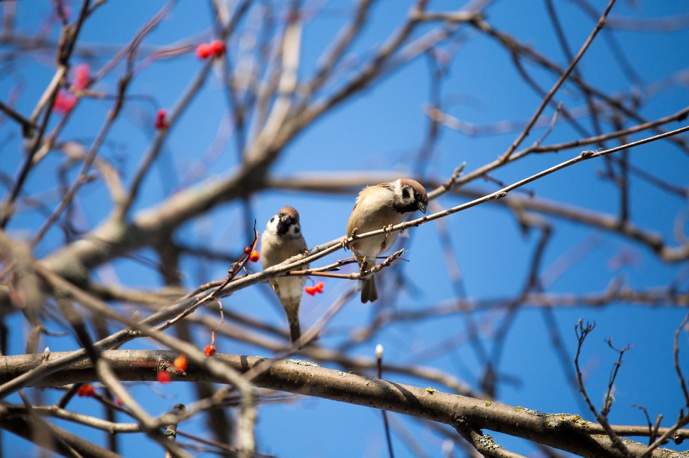 Photograph by Валентина Широбокова
