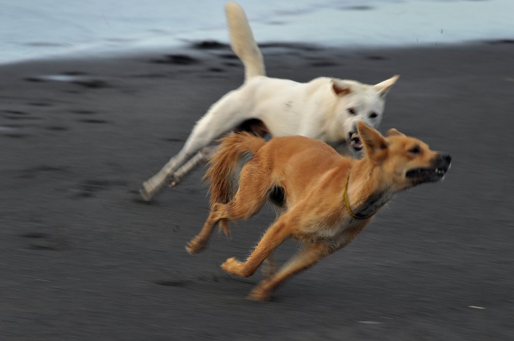 Photograph by  I Made Arya Dwita Dedok