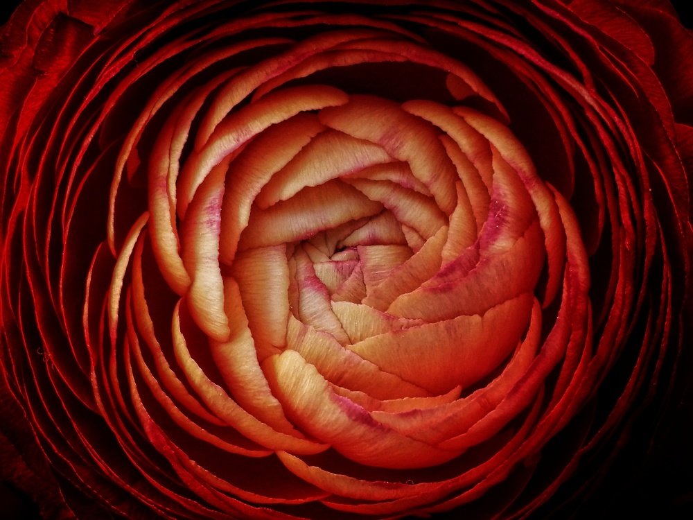 Photograph by Яна Кутателадзе