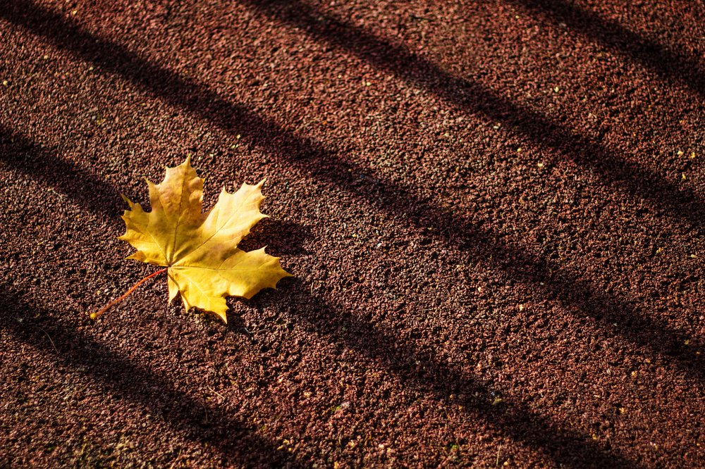 Photograph by Петрова Екатерина