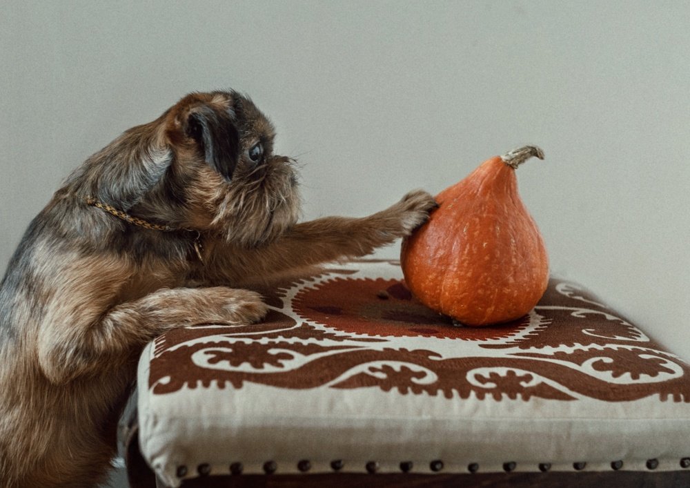 Photograph by Юлия Ильина