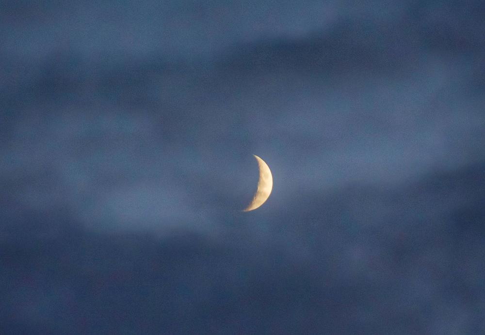 Photograph by Яна Кутателадзе