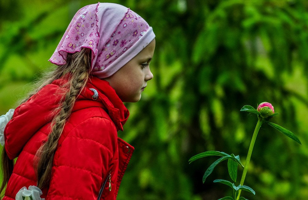 Обоняние на расстоянии