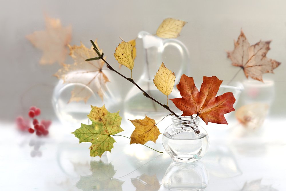 Photograph by Шруб (Беляева) Татьяна