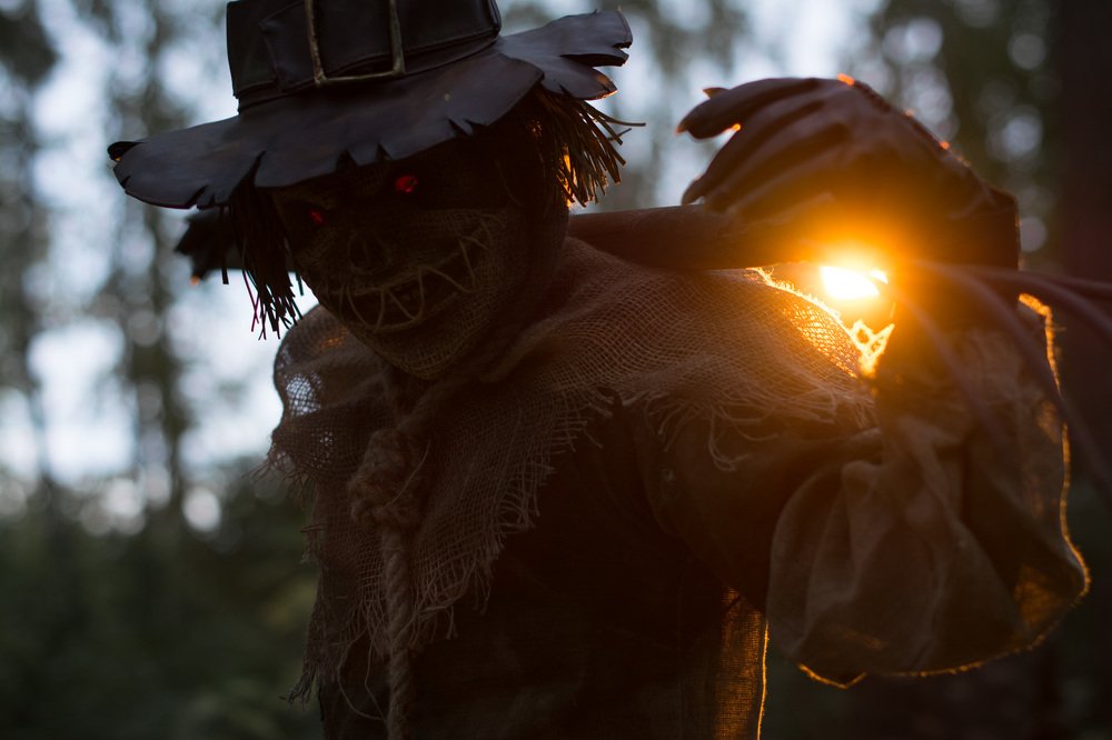 Photograph by mauser