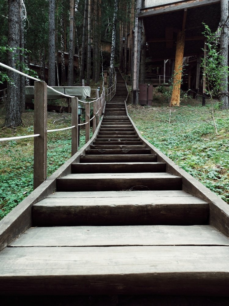 Photograph by Максим Ершов