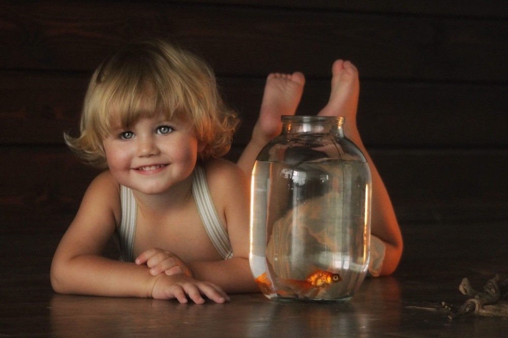 Photograph by Елена Хорошильцева