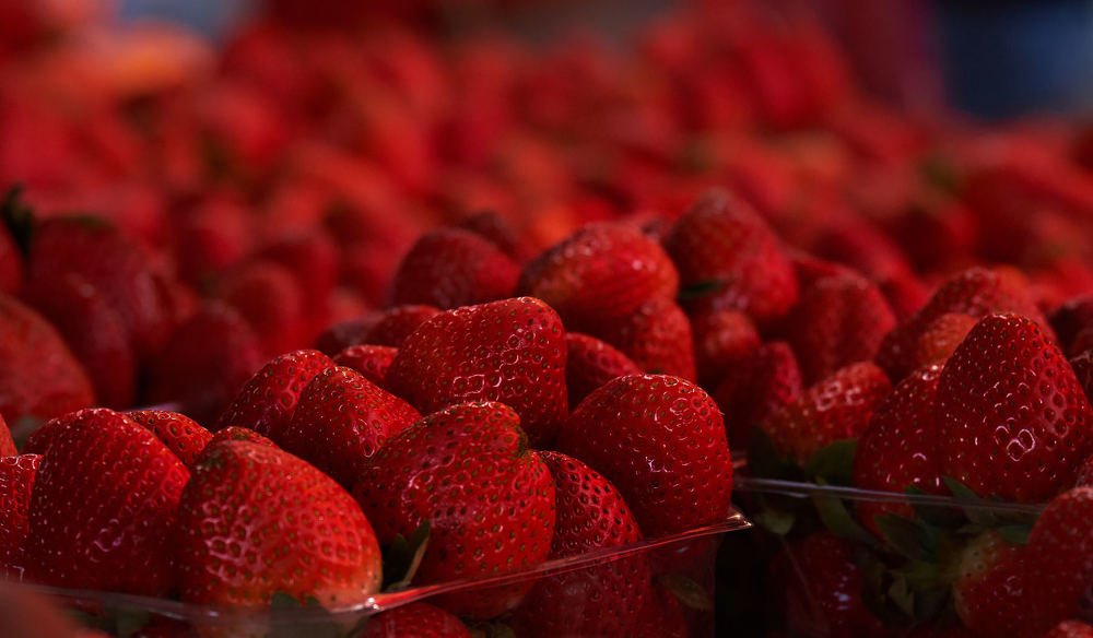 Photograph by Alexey Olkhovenko