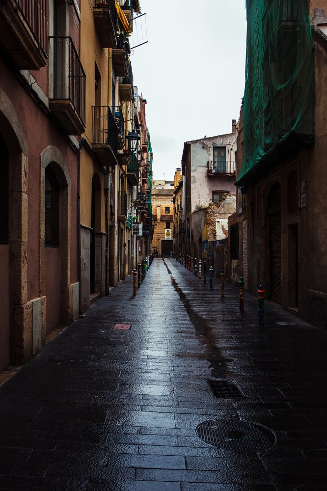 Фотография автора Елена Ельшина