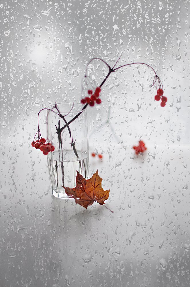 Декабрьские акценты красного...