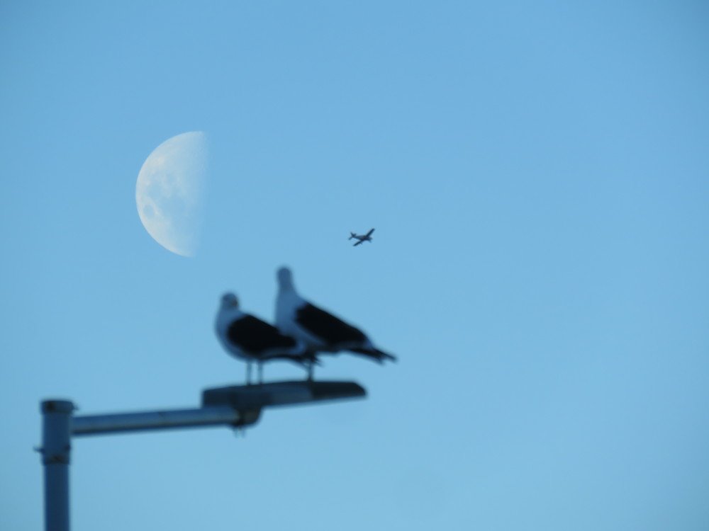 Фотография автора Raul Torres