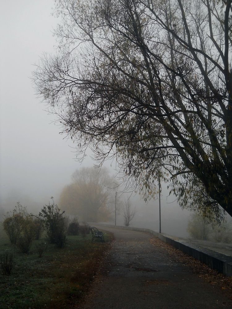 Photograph by Irina Dali