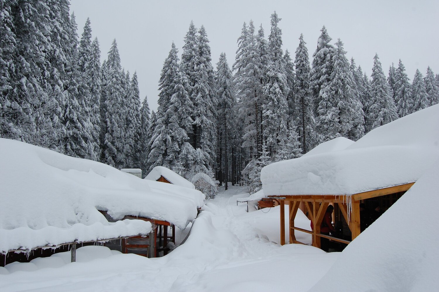 Photo #3832450
