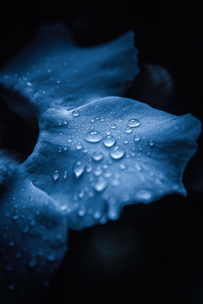 Photograph by Rodrigo Silveira