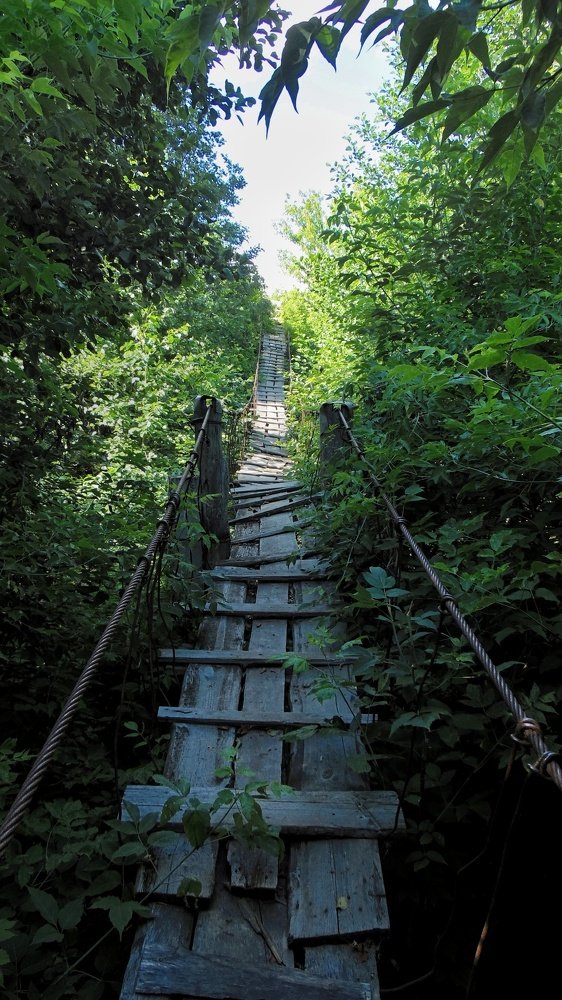 Photograph by Григорий