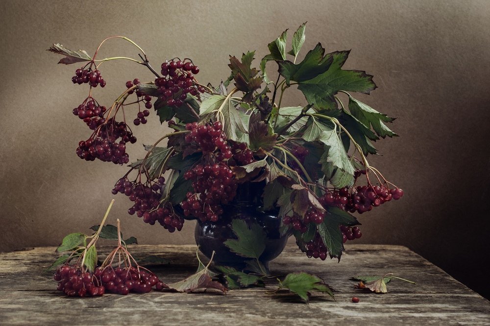 Photograph by Инна Грицик