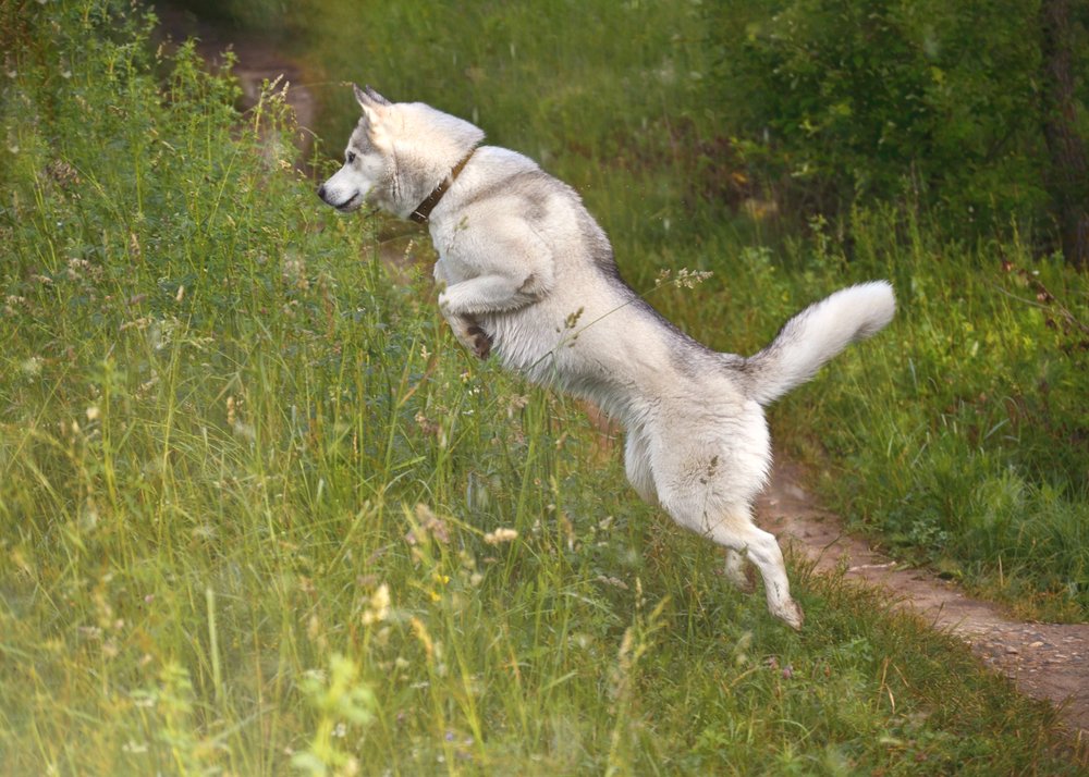 Photograph by Ирина Кленкова