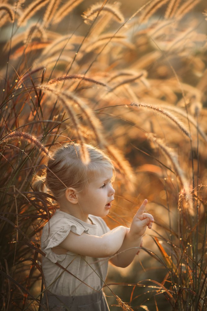 Photograph by Анна Мосс