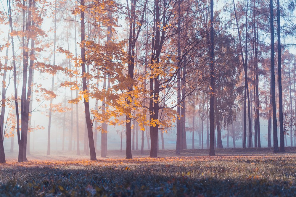 Photograph by Валерий Зенович