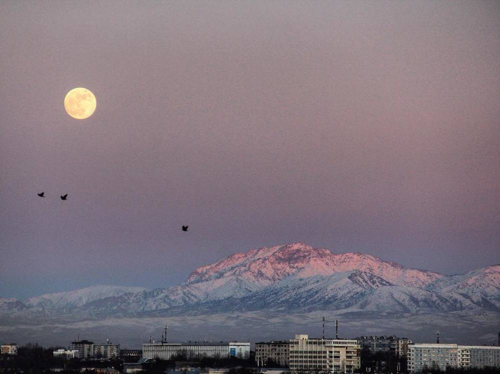 Photograph by Aleksandr Golubkov